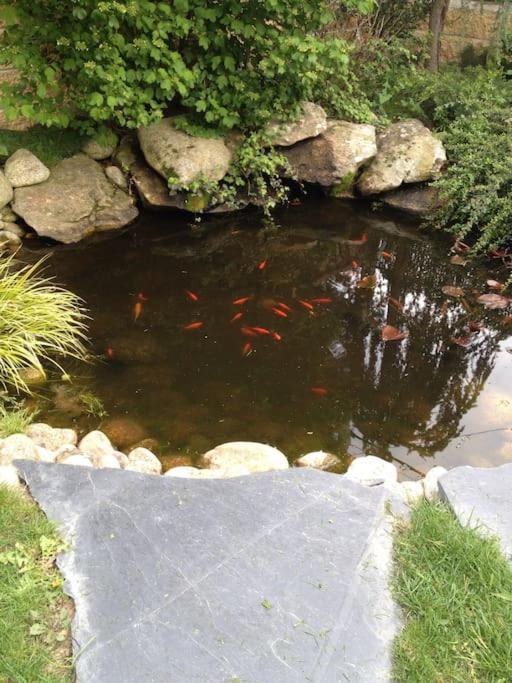 Los Rosales De Venturada Ngoại thất bức ảnh